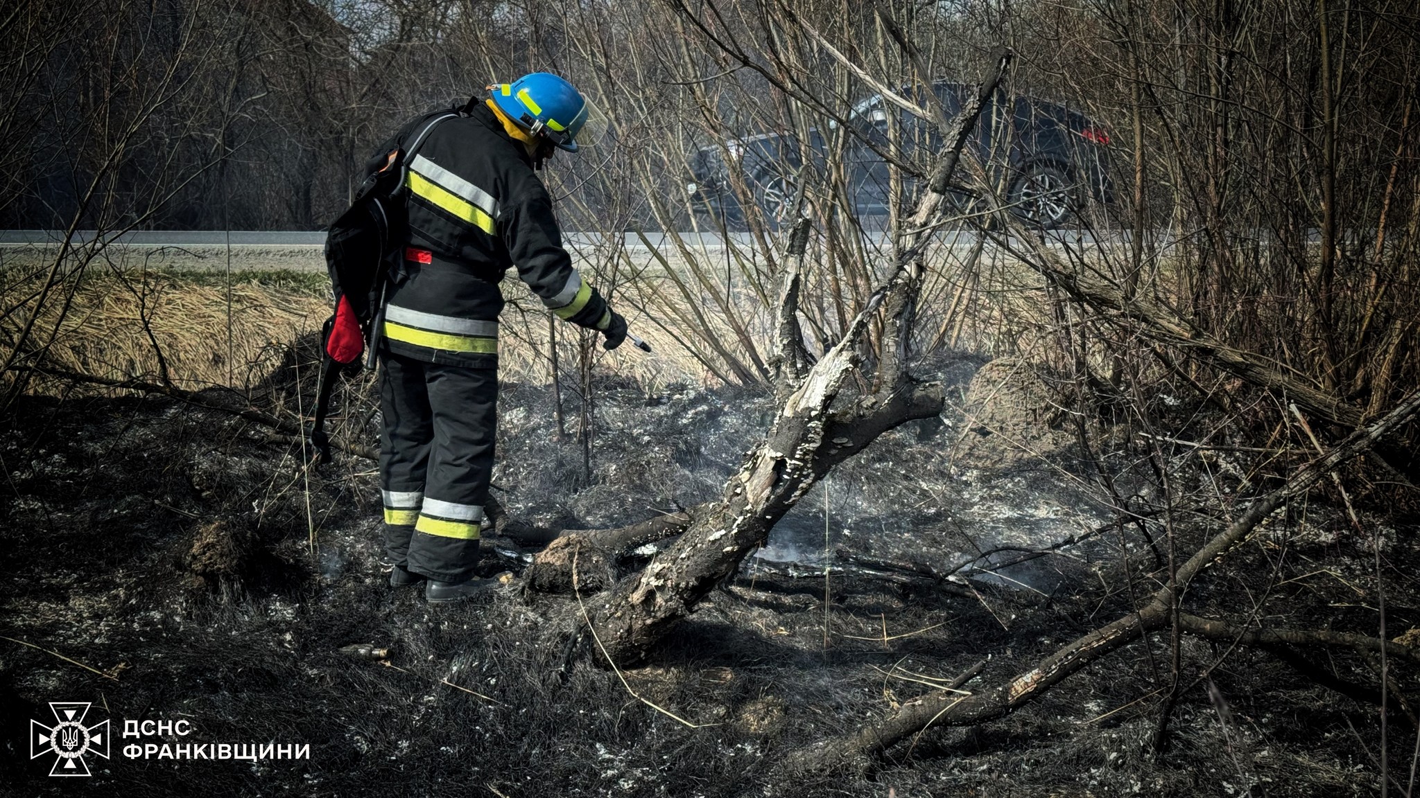 На Прикарпатті за добу вигоріло понад п'ять гектарів сухої трави
